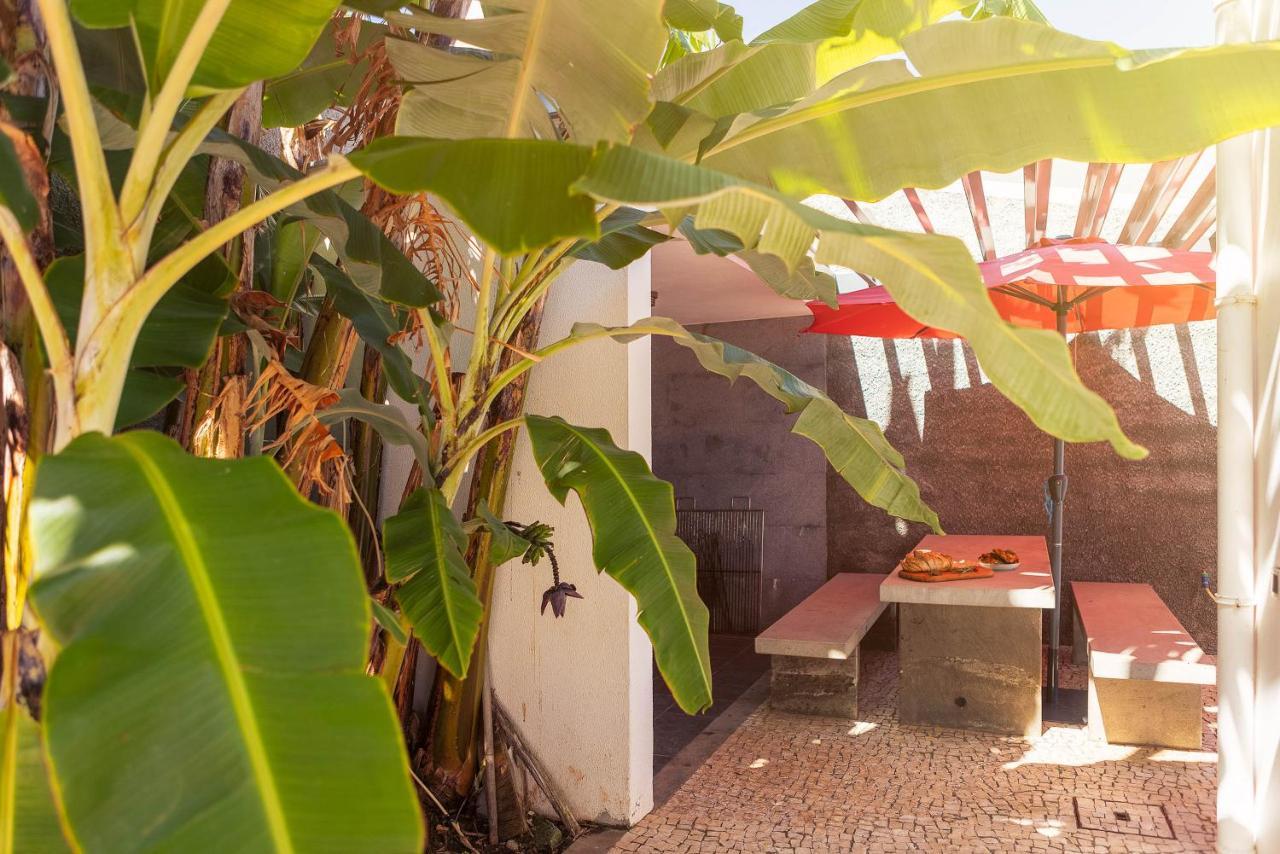 Villa Amplitude Câmara de Lobos Exteriér fotografie